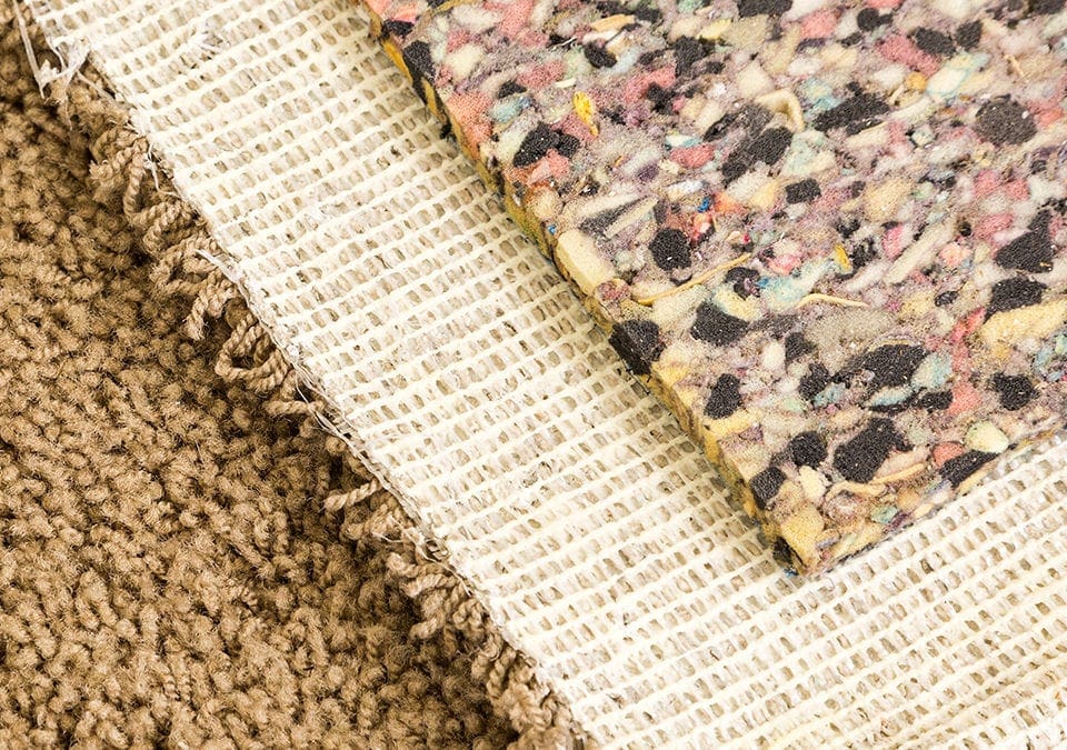 10 Things to do if You Have New Carpet Floors Touch McKinney