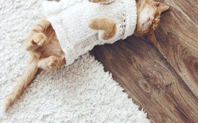 Hypoallergenic Flooring